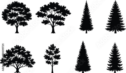 Realistic tree silhouettes set with deciduous and evergreen forest shapes, black nature elements isolated on white background for landscaping and design projects