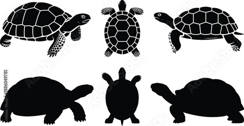 Sea turtle silhouette vector set, realistic marine reptile icons in multiple views, black white ocean wildlife illustrations for design