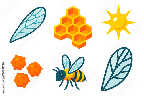 Bee Anatomy Icons. Isometric vector illustration set Bee Wing Transparency: fragile bee wings, honeycomb fragment, pollen grains,