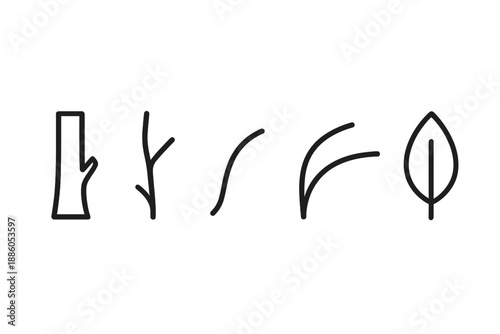 Tree Element Icons. Line style icons of Tree Elements: woody stem, small offshoot, curved twig, soft branch arc, minimal leaf hint