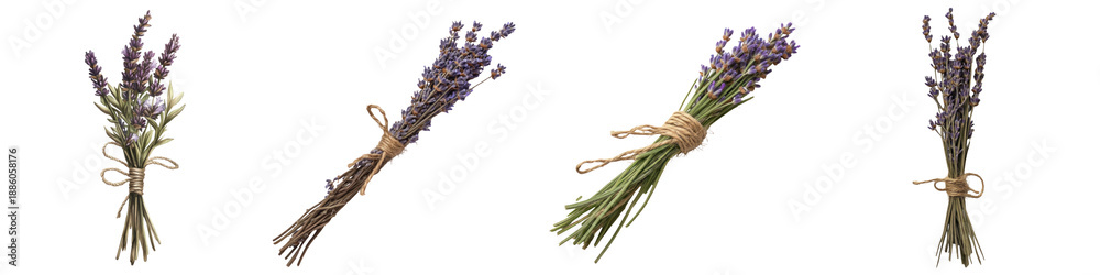 Obraz premium Sprig of Lavender Tied with Twine – A delicate sprig of lavender its slender stalk wrapped in natural twine exuding a rustic charm and fresh calming scent. Isolated on Clear White Background Highly De