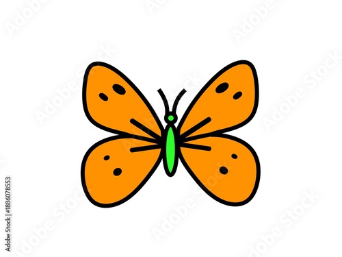 butterfly isolated on white