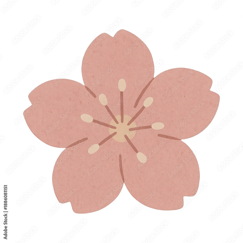Fototapeta premium PNG Delicate pink cherry blossom illustration.