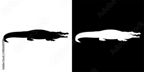 Silhouette of an alligator in black and white.