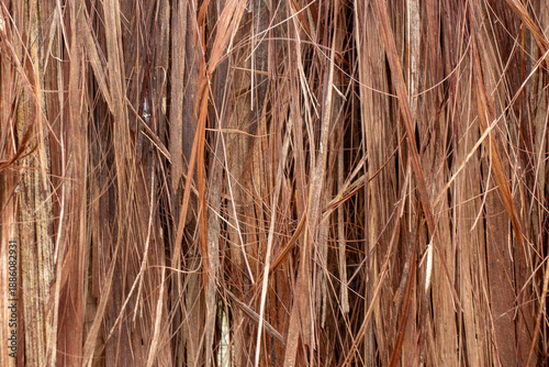 Wallpaper Mural beautiful natural texture in shades of beige Torontodigital.ca
