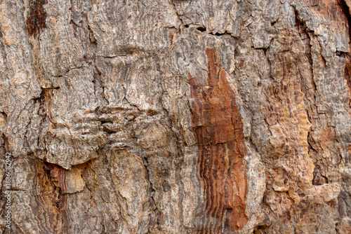 Wallpaper Mural beautiful natural texture in shades of beige Torontodigital.ca