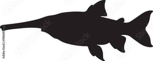 Elephant Nose Fish Silhouette on White Background