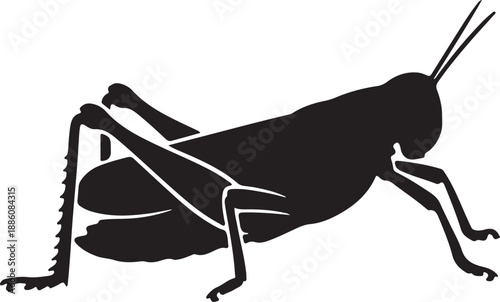 Grasshopper Silhouette on White Background