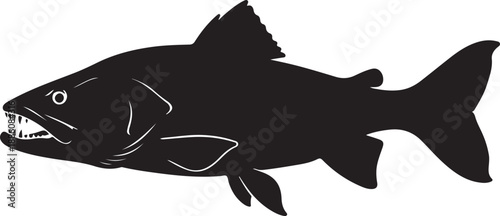 Goliath Tiger Fish Silhouette on White Background