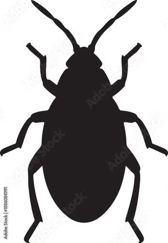 Louse Silhouette on White Background