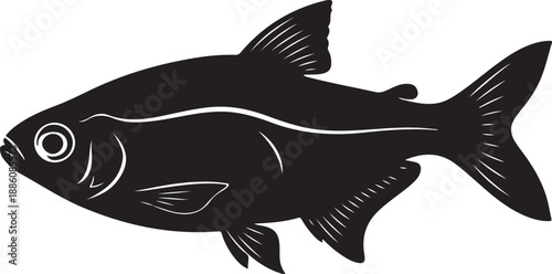 Neon Tetra Silhouette on White Background