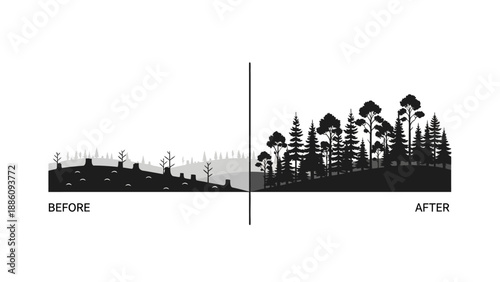 Before and after deforestation illustration showing environmental impact.