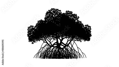 Black and white illustration of a mangrove tree with roots.