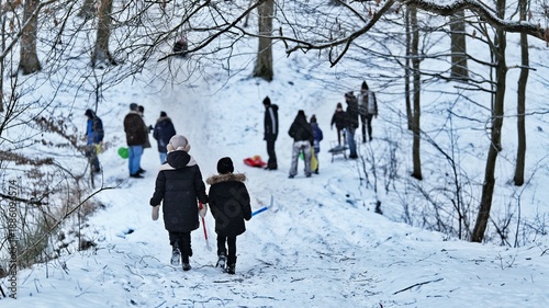 Children and adults enjoying a snowy day with sledding in a wooded park