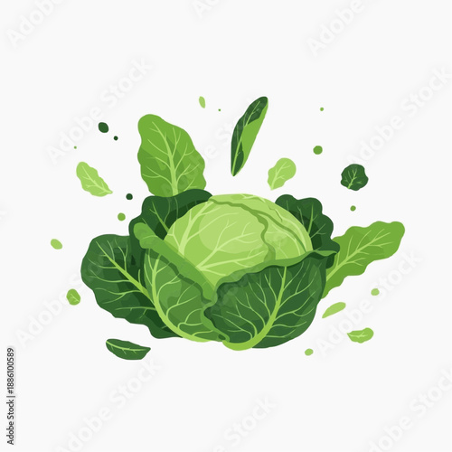 Fresh green cabbage with splashing leaves on white background  