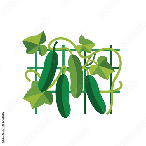 Cucumbers grow vertically on a green plastic trellis in a garden setting.