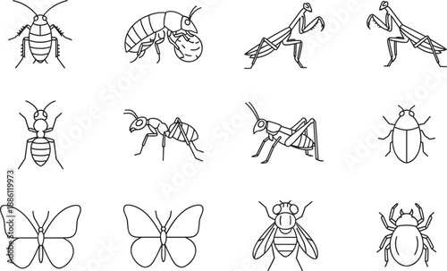 Set of minimalist insect line icons featuring butterfly, ant, beetle, mantis, and grasshopper isolated on white background.