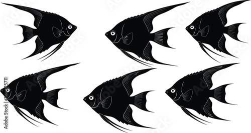 Elegant black angelfish silhouette vector illustration pattern, decorative tropical fish artwork for aquatic themes, marine design elements, aquarium graphics, isolated detailed drawing