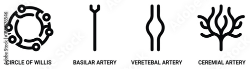 Anatomy and physiology of human cerebral blood vessels icon set in vector format