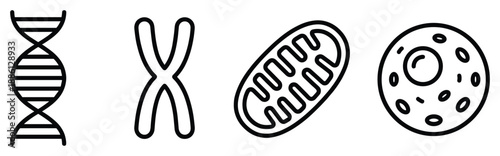 Cell biology outline dna chromosome mitochondrion and basic cell structure scientific drawing