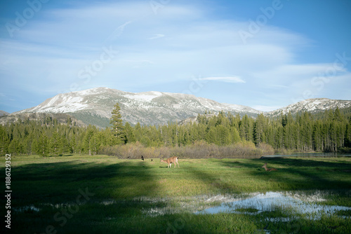 mountain landscape with lake and mountains