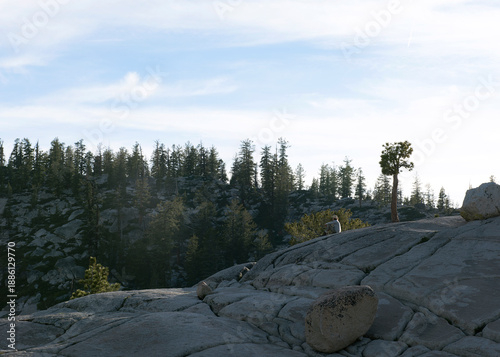 vista in the mountains