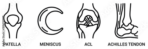 Knee joint icon set patella meniscus acl achilles tendon leg bone cartilage anatomy medicine
