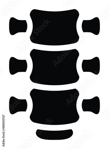 Spine vertebrae with healthy spinal bone column for medical education anatomy system human body