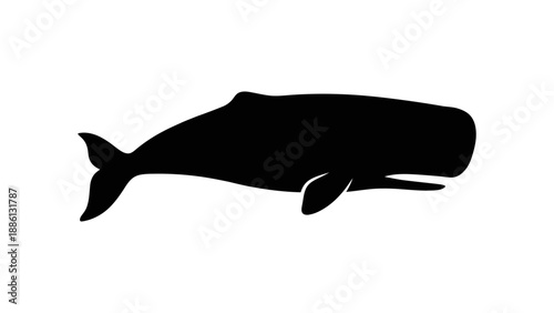 Minimalist silhouette of a whale in a flat design on a white background