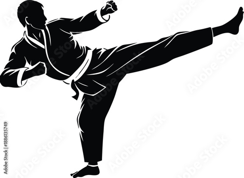 Martial Arts, Fighter High Kick