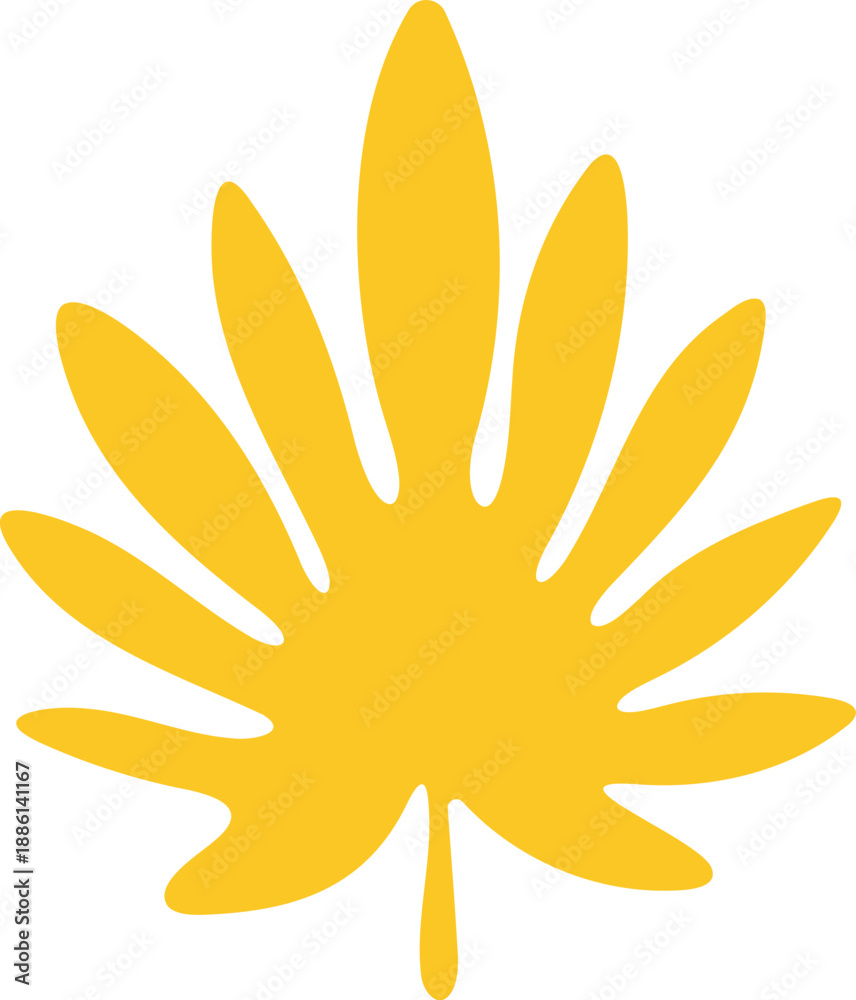 Fototapeta premium 몬스테라_열대식물