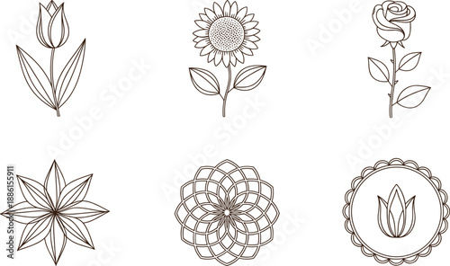 Vector illustration set featuring hand-drawn floral line art icons with sunflowers roses and tulips for elegant branding designs