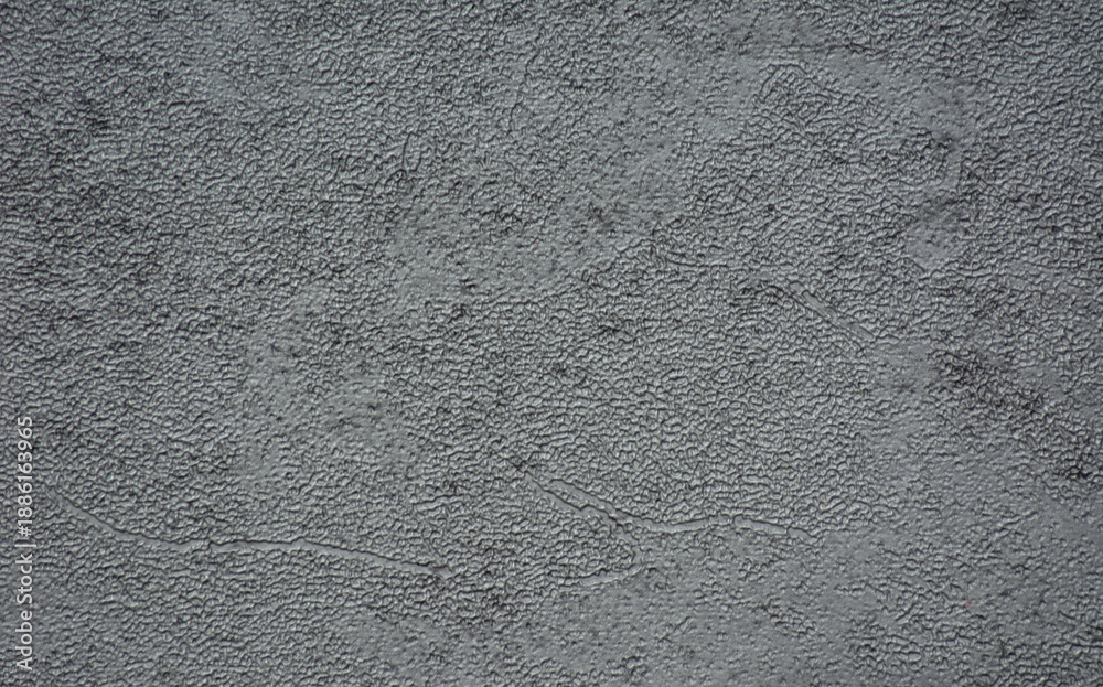 Fototapeta premium Gray plaster with traces of rough application, close-up.