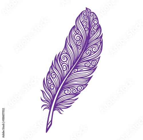 Purple feather with intricate swirling patterns isolated on white background