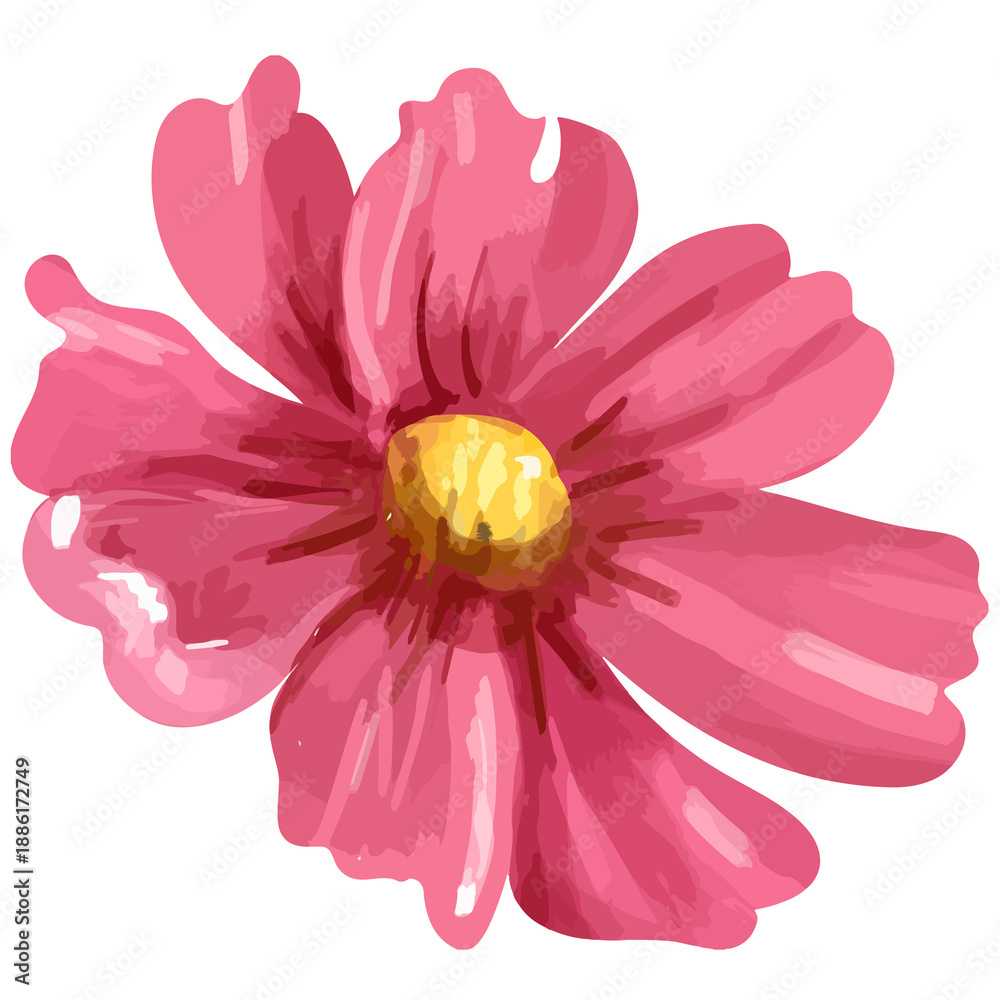 Fototapeta premium Pink cosmos png watercolor flower, transparent background