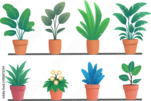 Potted plants collection on shelf. Indoor house plants set. Flat vector illustration.