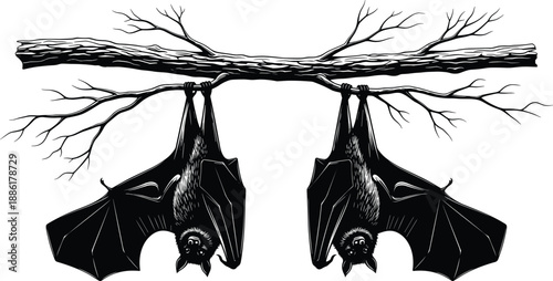Black and white illustration of two bats hanging upside down from a bare tree branch with symmetrical posture and detailed texture