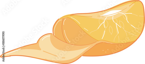 vector illustration of an orange fruit