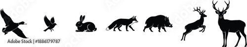 Wildlife size comparison silhouettes showing animals from birds to deer illustrating forest fauna scale progression in minimalist black vector style