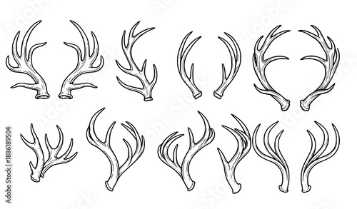 Deer horns icon set with antlers and wildlife hunting symbols vector