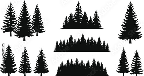 Pine tree silhouettes, evergreen forest collection, black nature shapes showing woodland landscape elements, isolated conifer trees set on white background