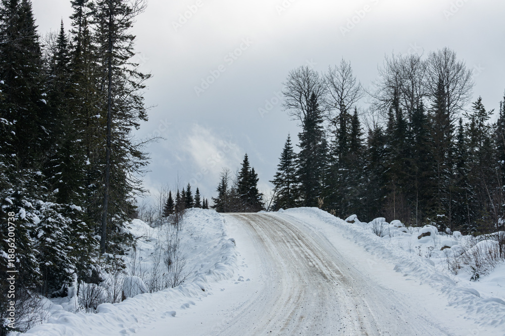 Fototapeta premium Canada, Quebec, 05 December 2025 : Snowy forest road winding through winter pine trees under cloudy sky