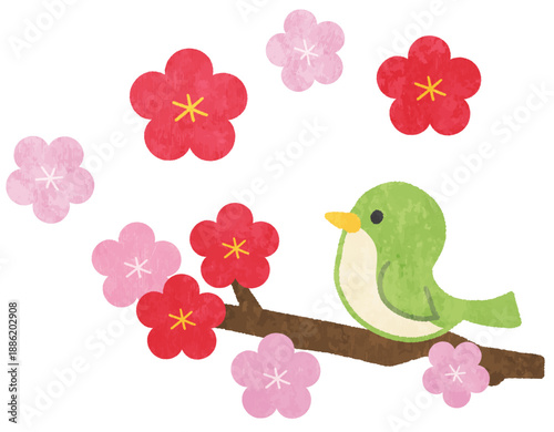 梅の花とウグイスのイラスト
