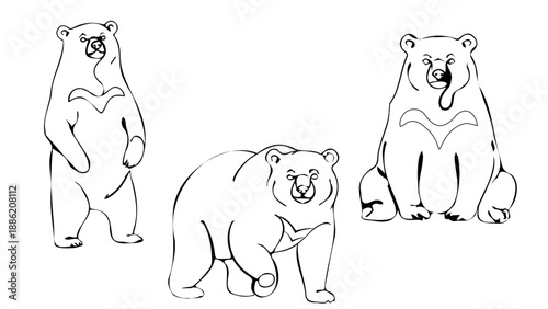 ツキノワグマの線画