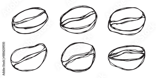 Set of hand drawn fresh roasted coffee bean Arabica robusta seed doodle Single element for design print packaging label decor