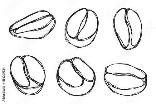 Set of hand drawn fresh roasted coffee bean Arabica robusta seed doodle Single element for design print packaging label decor