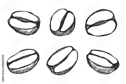 Set of hand drawn fresh roasted coffee bean Arabica robusta seed doodle Single element for design print packaging label decor