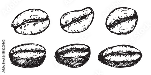 Set of hand drawn fresh roasted coffee bean Arabica robusta seed doodle Single element for design print packaging label decor