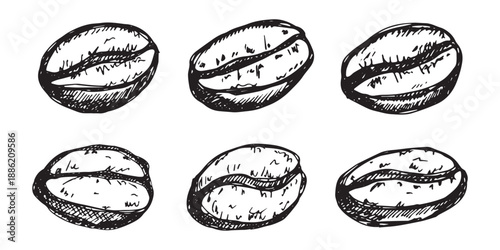 Set of hand drawn fresh roasted coffee bean Arabica robusta seed doodle Single element for design print packaging label decor