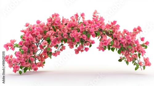 A photorealistic 3D illustration of bougainvillea plants displaying their cascading clusters of delicate flowers, each with a silky texture and gradient hues ranging from deep fuchsia to soft coral.